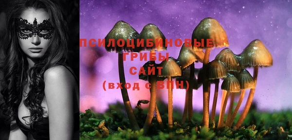 спайс Абдулино